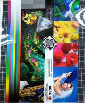 Un bon prix. 1920 mm Largeur 30mc Glossy Multiply Extrusion PET Film de stratification à chaud pour couche de protection photo en ligne